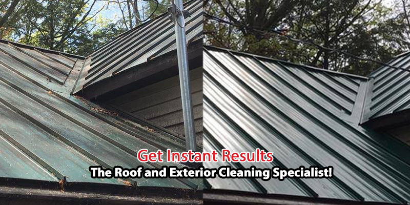 metal-roof-cleaning.jpg