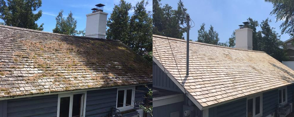 Roof Cleaning Service Near Me Greensboro Nc